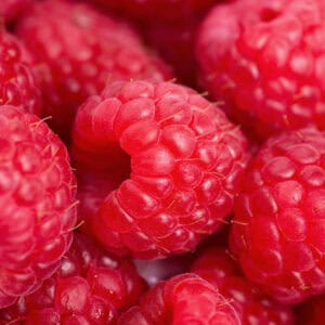 Sorbet framboos 1L